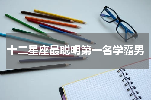 十二星座最聪明第一名学霸男