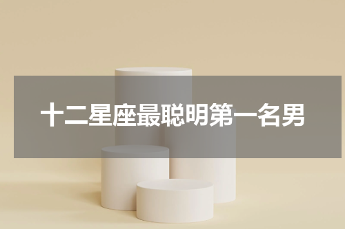 十二星座最聪明第一名男