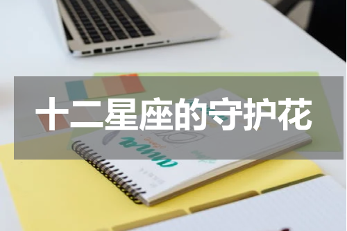 十二星座的守护花