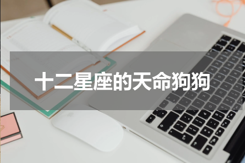 十二星座的天命狗狗