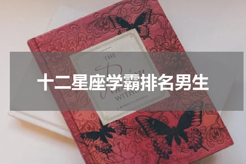十二星座学霸排名男生