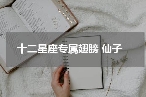 十二星座专属翅膀 仙子