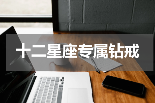十二星座专属钻戒