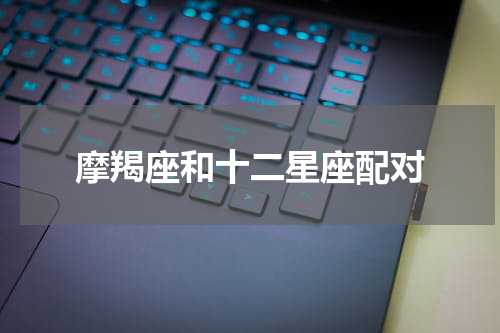 摩羯座和十二星座配对