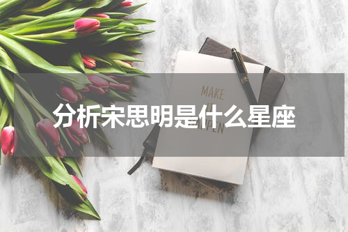 分析宋思明是什么星座