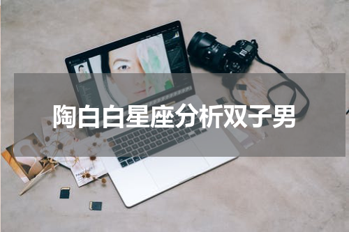 陶白白星座分析双子男