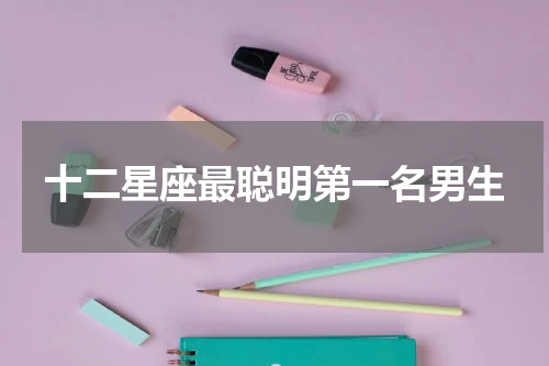 十二星座最聪明第一名男生