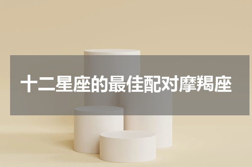 十二星座的最佳配对摩羯座