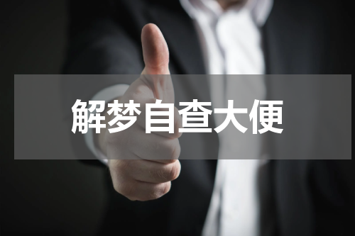 解梦自查大便