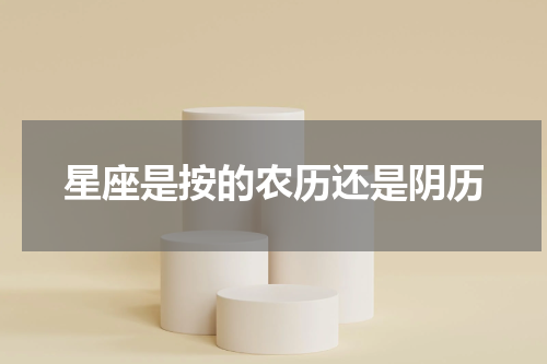 星座是按的农历还是阴历