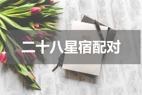 二十八星宿配对