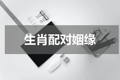 生肖配对姻缘
