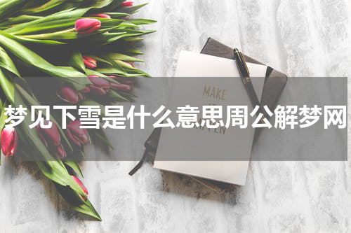 梦见下雪是什么意思周公解梦网
