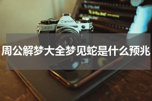 周公解梦大全梦见蛇是什么预兆