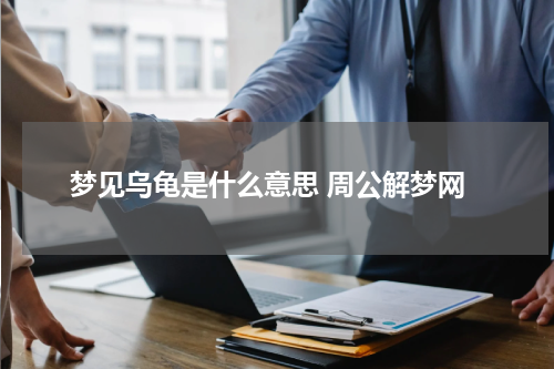 梦见乌龟是什么意思 周公解梦网