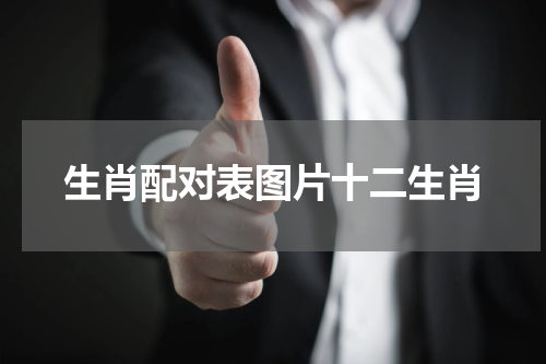 生肖配对表图片十二生肖