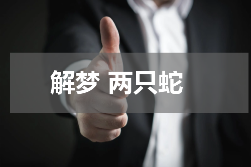 解梦 两只蛇