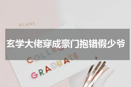 玄学大佬穿成豪门抱错假少爷