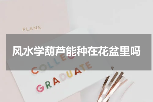 风水学葫芦能种在花盆里吗