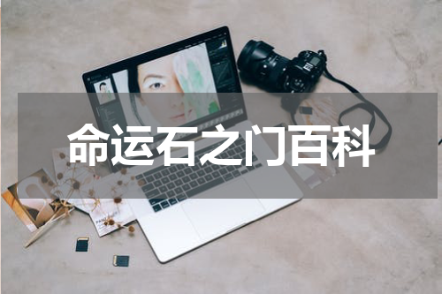 命运石之门百科