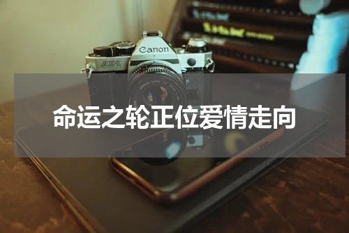 命运之轮正位爱情走向