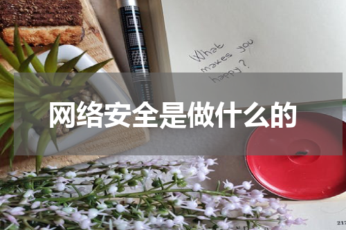 网络安全是做什么的