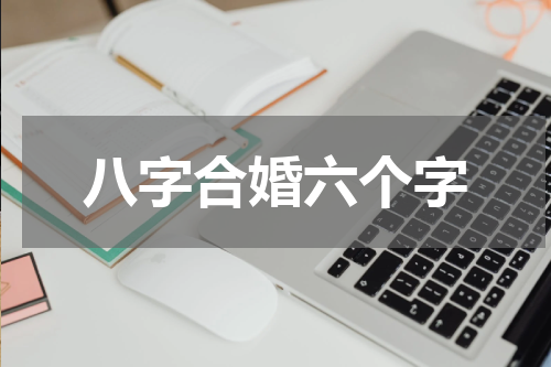 八字合婚六个字