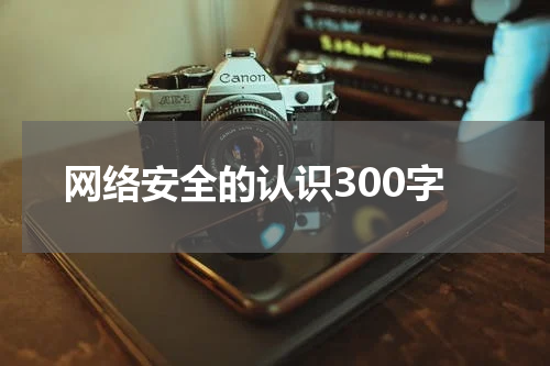 网络安全的认识300字