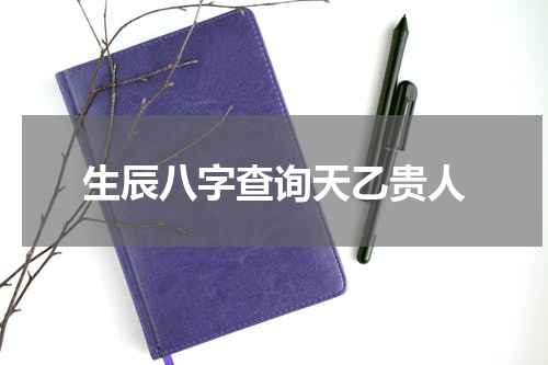 生辰八字查询天乙贵人