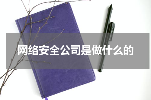 网络安全公司是做什么的