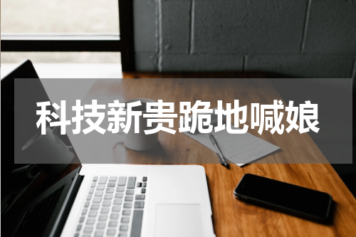 科技新贵跪地喊娘