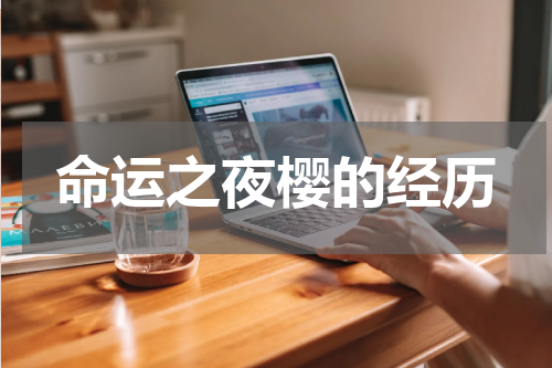 命运之夜樱的经历
