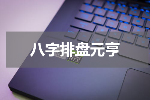 八字排盘元亨