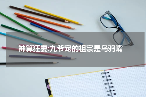 神算狂妻:九爷宠的祖宗是乌鸦嘴