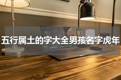 五行属土的字大全男孩名字虎年