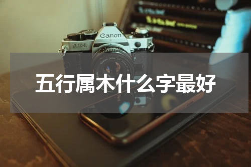 五行属木什么字最好