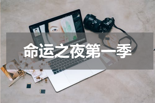 命运之夜第一季