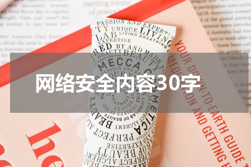 网络安全内容30字