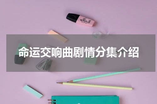 命运交响曲剧情分集介绍