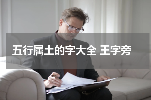 五行属土的字大全 王字旁