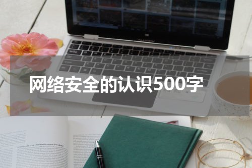 网络安全的认识500字