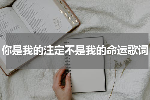 你是我的注定不是我的命运歌词