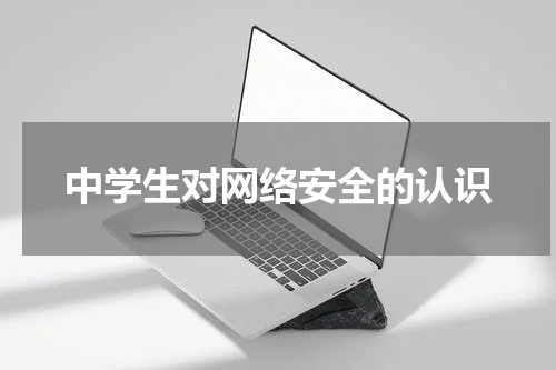 中学生对网络安全的认识