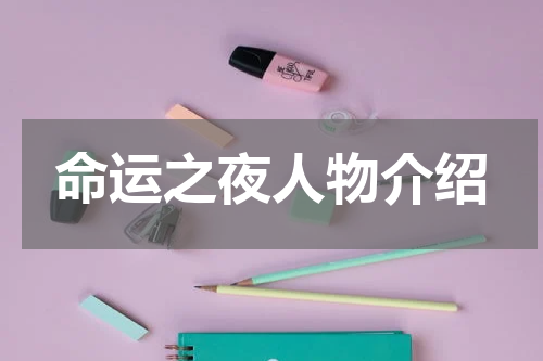 命运之夜人物介绍