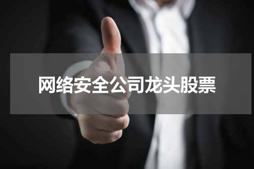 网络安全公司龙头股票
