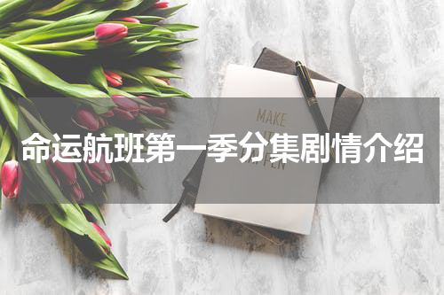 命运航班第一季分集剧情介绍