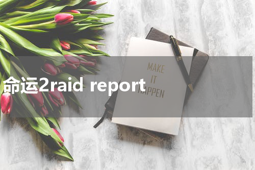 命运2raid report