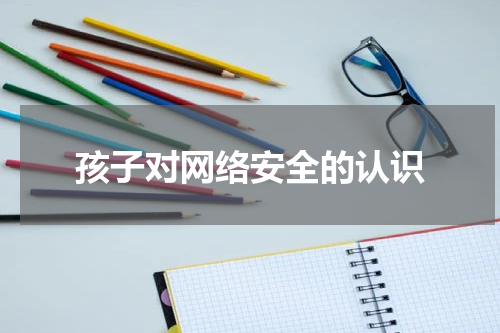 孩子对网络安全的认识