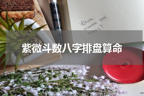 紫微斗数八字排盘算命