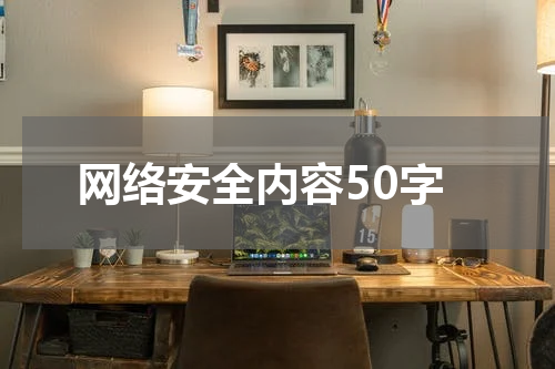 网络安全内容50字